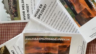 Ny pamflet